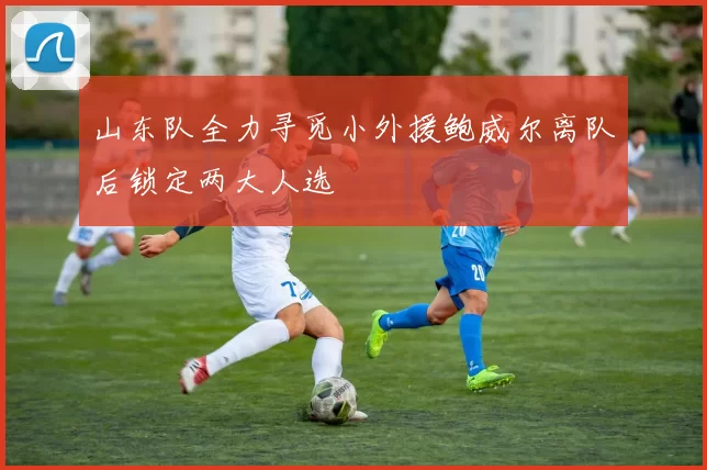 山东队全力寻觅小外援鲍威尔离队后锁定两大人选