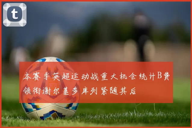 本赛季英超运动战重大机会统计B费领衔谢尔基多库列紧随其后