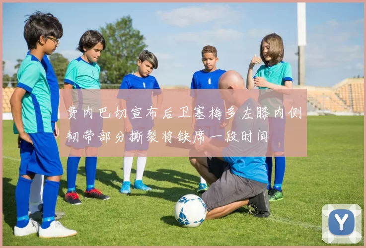 费内巴切宣布后卫塞梅多左膝内侧韧带部分撕裂将缺席一段时间
